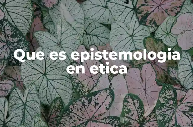 Que es Epistemologia en Etica