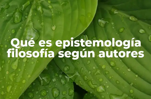 Qué es Epistemología Filosofía según Autores