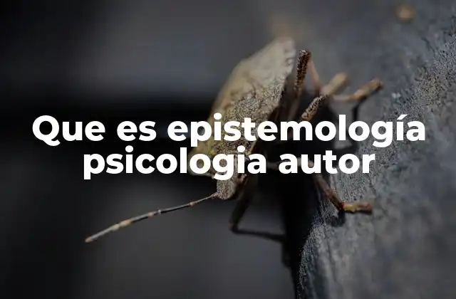 Que es Epistemología Psicologia Autor