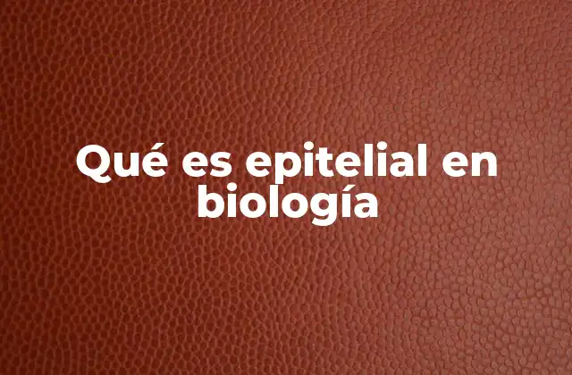 Qué es Epitelial en Biología