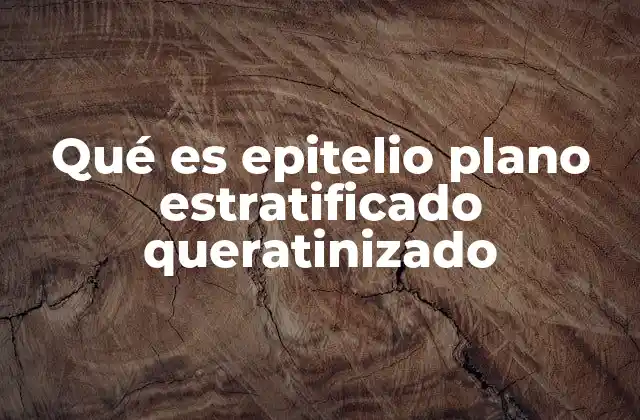 Qué es Epitelio Plano Estratificado Queratinizado