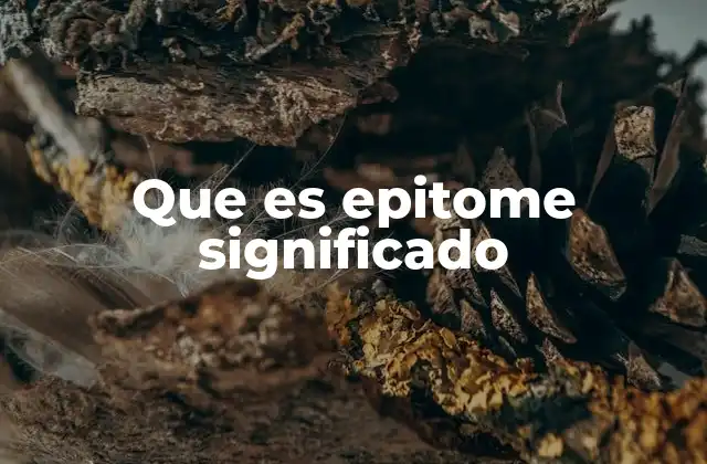 Que es Epitome Significado