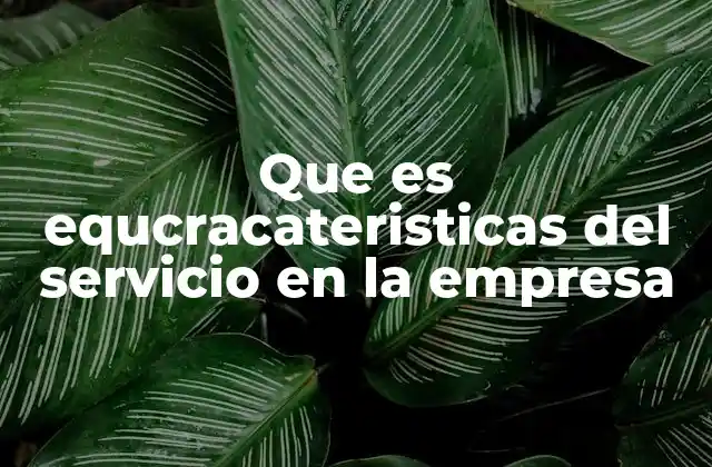 Que es Equcracateristicas Del Servicio en la Empresa 2 La importancia de las características del servicio para la competitividad empresarial