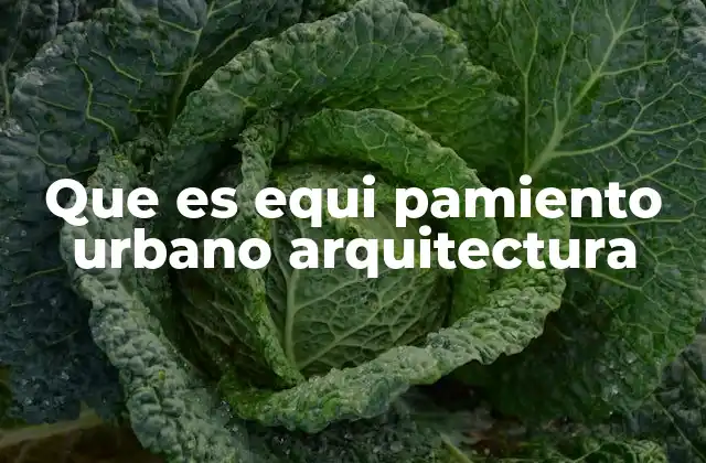 Que es Equi Pamiento Urbano Arquitectura