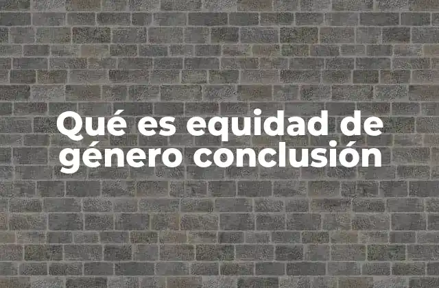 Qué es Equidad de Género Conclusión
