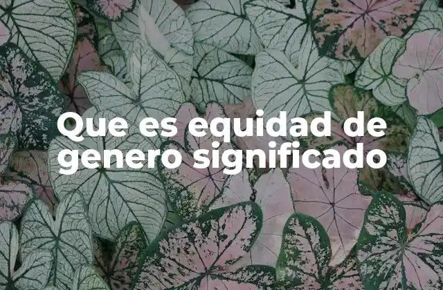 La importancia de reconocer diferencias para lograr justicia social