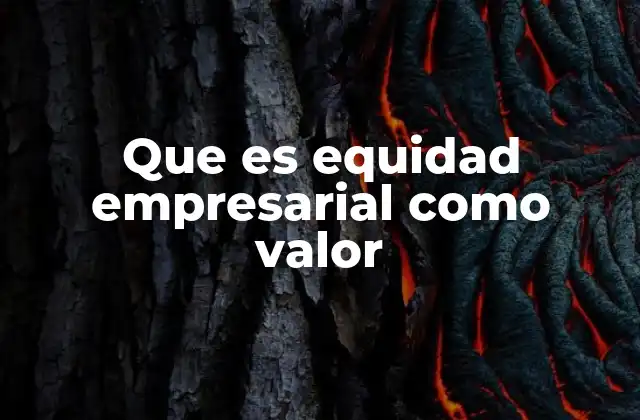 Que es Equidad Empresarial como Valor