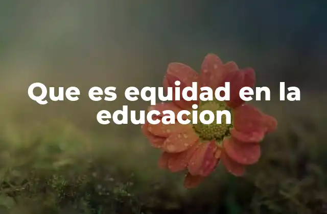 Que es Equidad en la Educacion 2 La importancia de promover justicia educativa