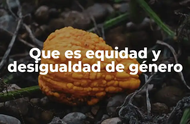 Que es Equidad y Desigualdad de Género