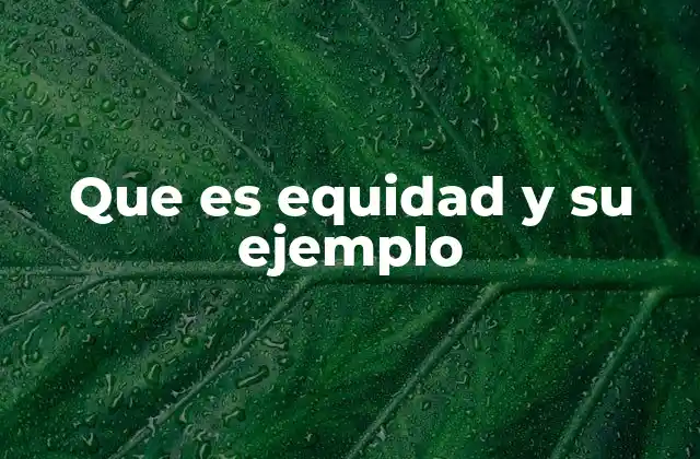 Que es Equidad y Su Ejemplo