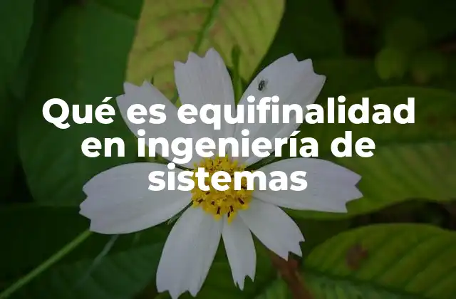 Qué es Equifinalidad en Ingeniería de Sistemas