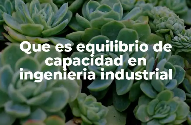 Que es Equilibrio de Capacidad en Ingenieria Industrial