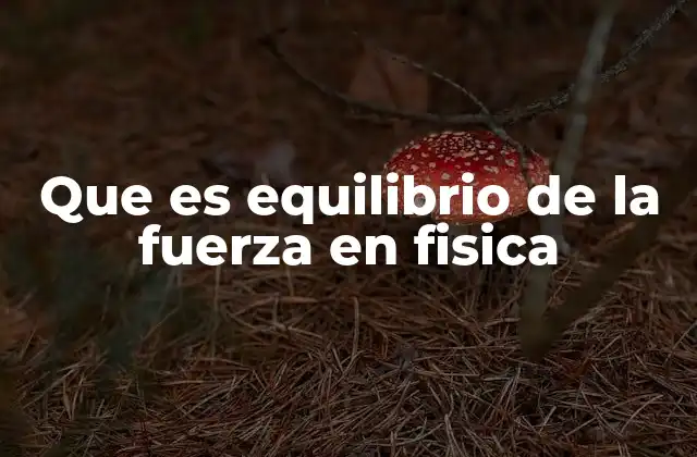 Que es Equilibrio de la Fuerza en Fisica