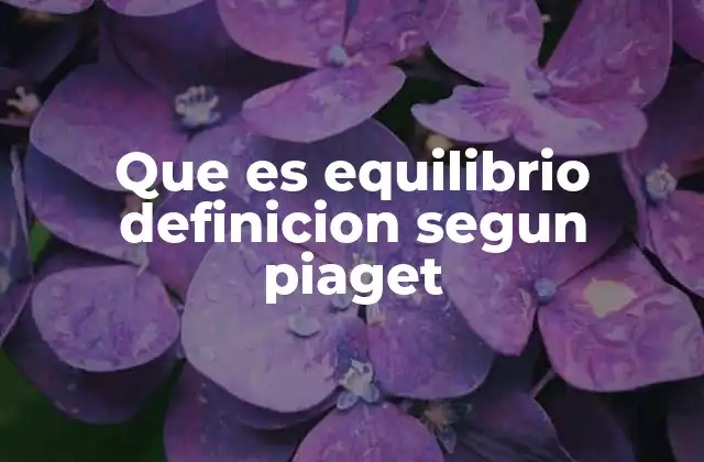 Que es Equilibrio Definicion Segun Piaget