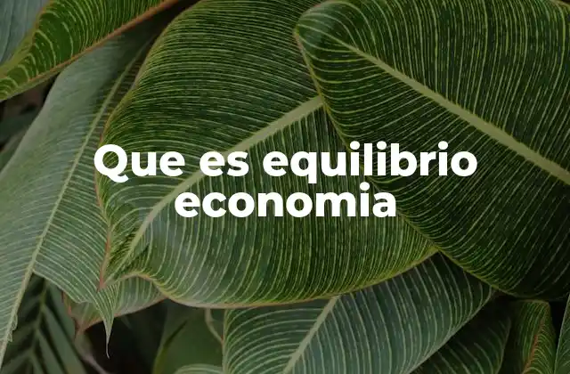 Que es Equilibrio Economia