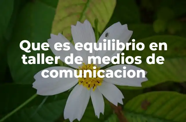 Que es Equilibrio en Taller de Medios de Comunicacion