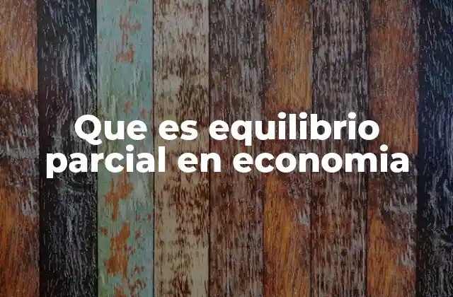 Que es Equilibrio Parcial en Economia