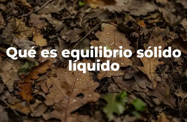 Qué es Equilibrio Sólido Líquido