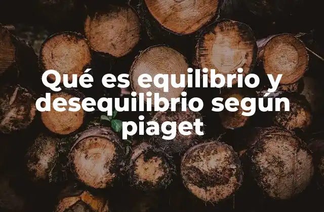 Qué es Equilibrio y Desequilibrio según Piaget