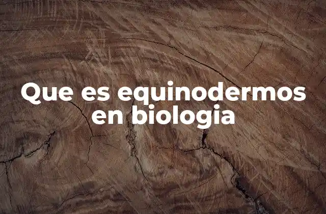 Que es Equinodermos en Biologia