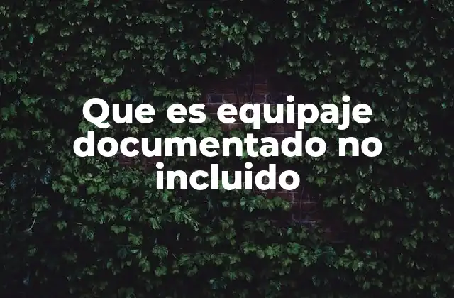 Que es Equipaje Documentado No Incluido