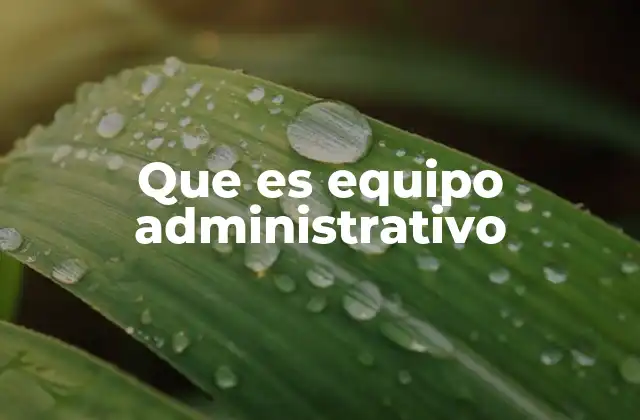 Que es Equipo Administrativo