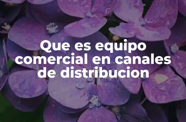 Que es Equipo Comercial en Canales de Distribucion