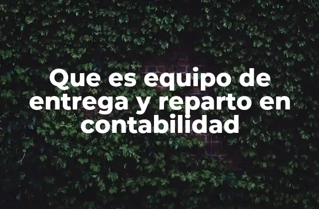 Que es Equipo de Entrega y Reparto en Contabilidad