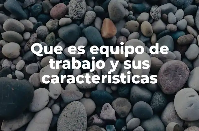 Que es Equipo de Trabajo y Sus Caracteristicas