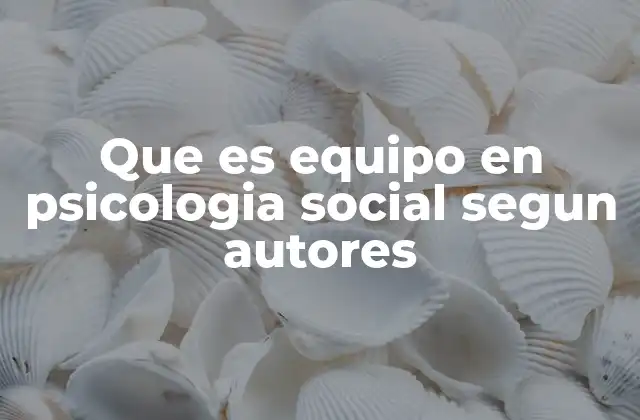 Que es Equipo en Psicologia Social Segun Autores
