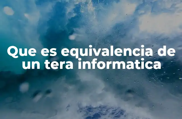 Que es Equivalencia de un Tera Informatica