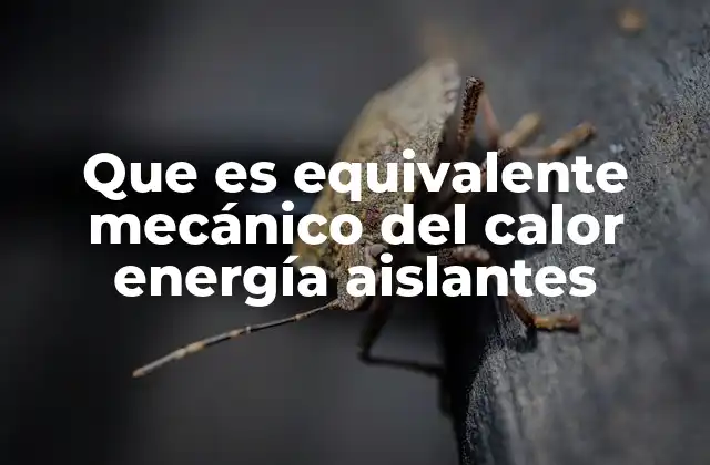 Que es Equivalente Mecánico Del Calor Energía Aislantes