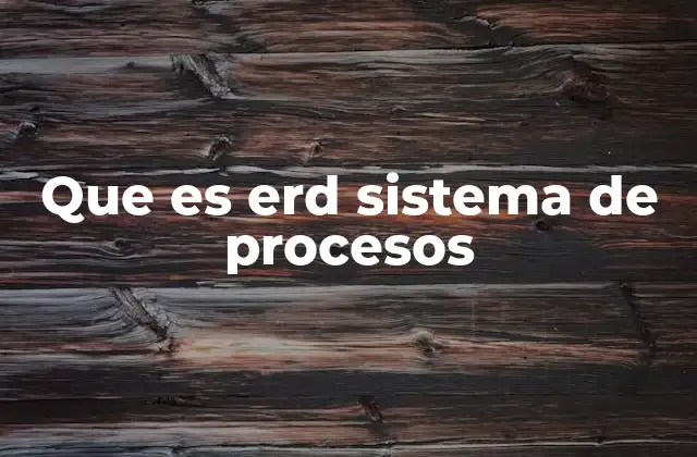 Que es Erd Sistema de Procesos