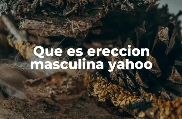 Que es Ereccion Masculina Yahoo