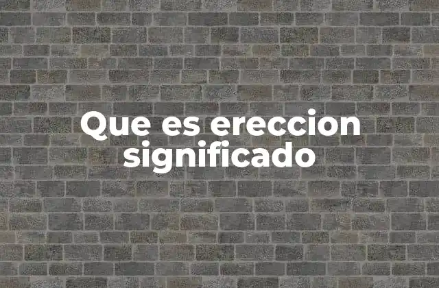 Que es Ereccion Significado