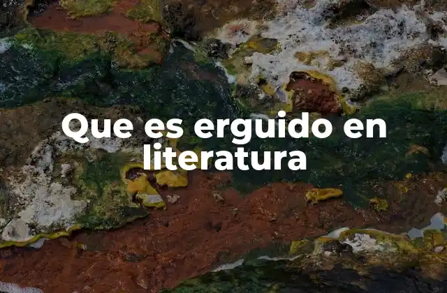 Que es Erguido en Literatura