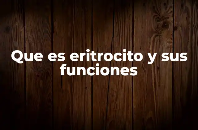 Que es Eritrocito y Sus Funciones