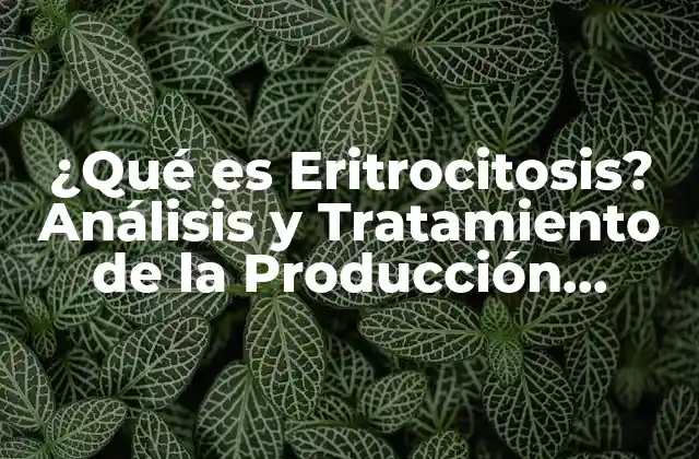 ¿qué es Eritrocitosis? Análisis y Tratamiento de la Producción Excesiva de Glóbulos Rojos