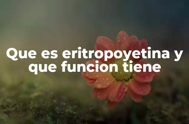 Que es Eritropoyetina y que Funcion Tiene 2 El papel de la eritropoyetina en el cuerpo humano