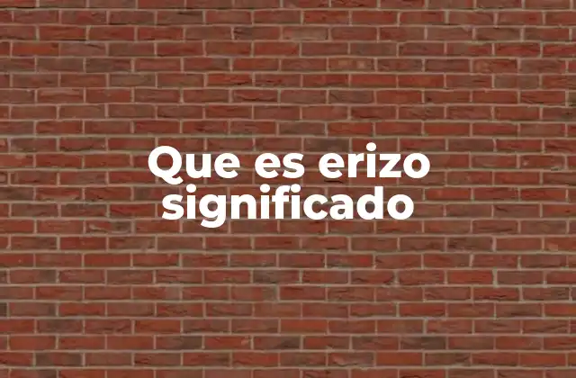 Que es Erizo Significado 2 El uso de erizo en el lenguaje cotidiano y en la naturaleza