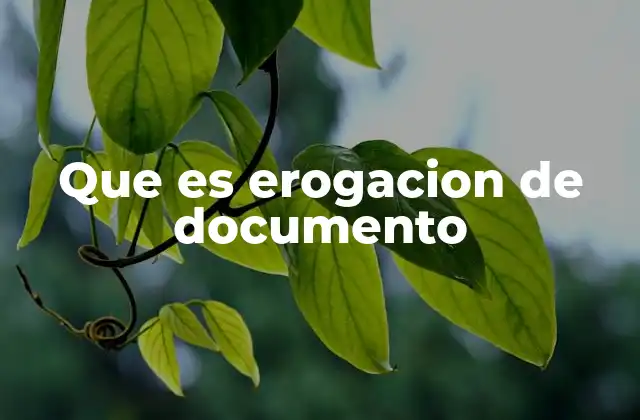 Que es Erogacion de Documento