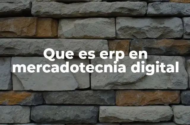 Que es Erp en Mercadotecnia Digital