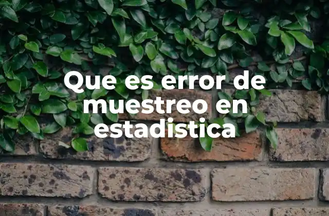 Que es Error de Muestreo en Estadistica