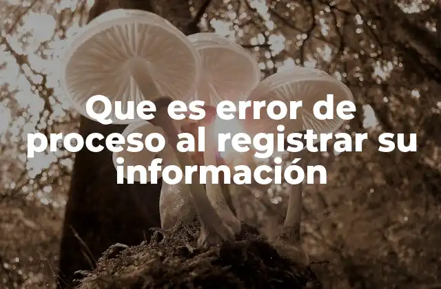 Que es Error de Proceso Al Registrar Su Información