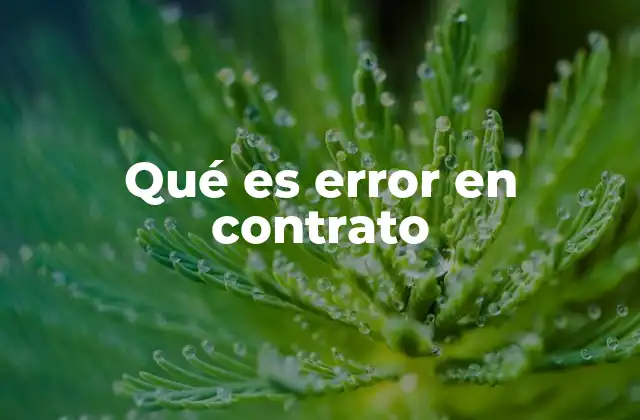 Qué es Error en Contrato