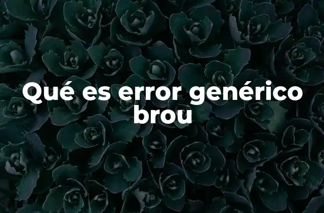 Qué es Error Genérico Brou
