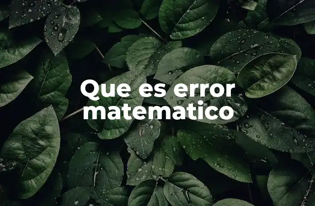 Que es Error Matematico 2 Cómo los errores afectan los cálculos científicos