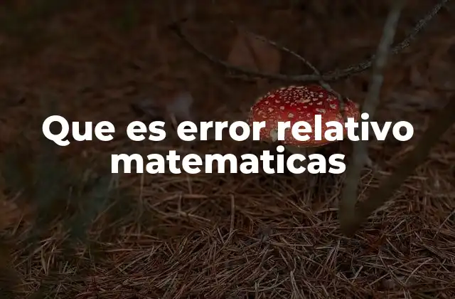 Que es Error Relativo Matematicas