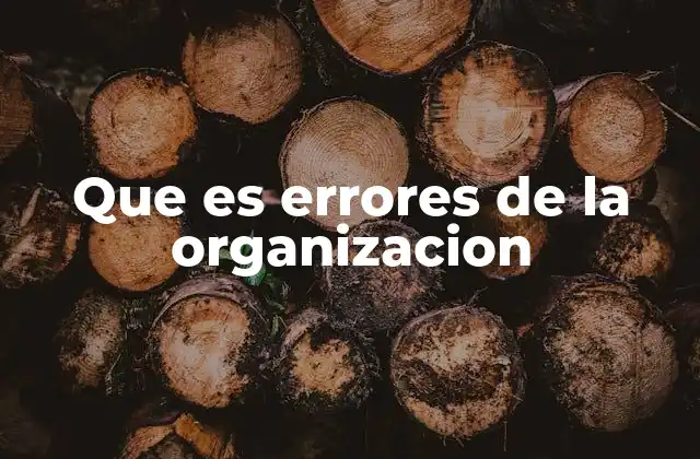 Que es Errores de la Organizacion