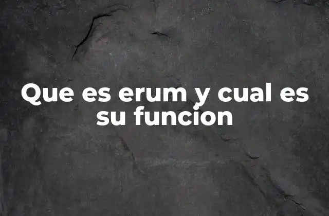 Que es Erum y Cual es Su Funcion